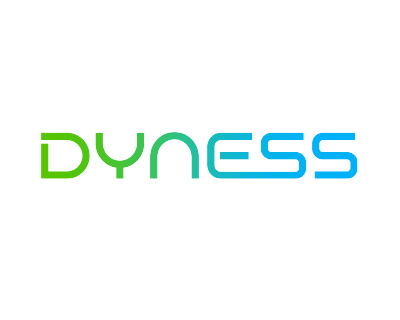 Dyness