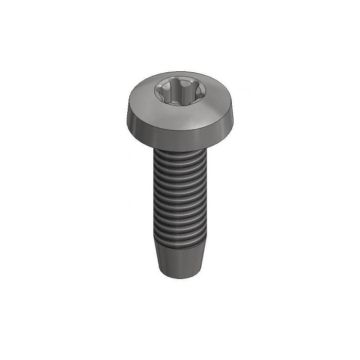 VDV RVS zelftappende bout M6×20 mm - T30