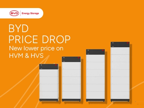 BYD Promotion